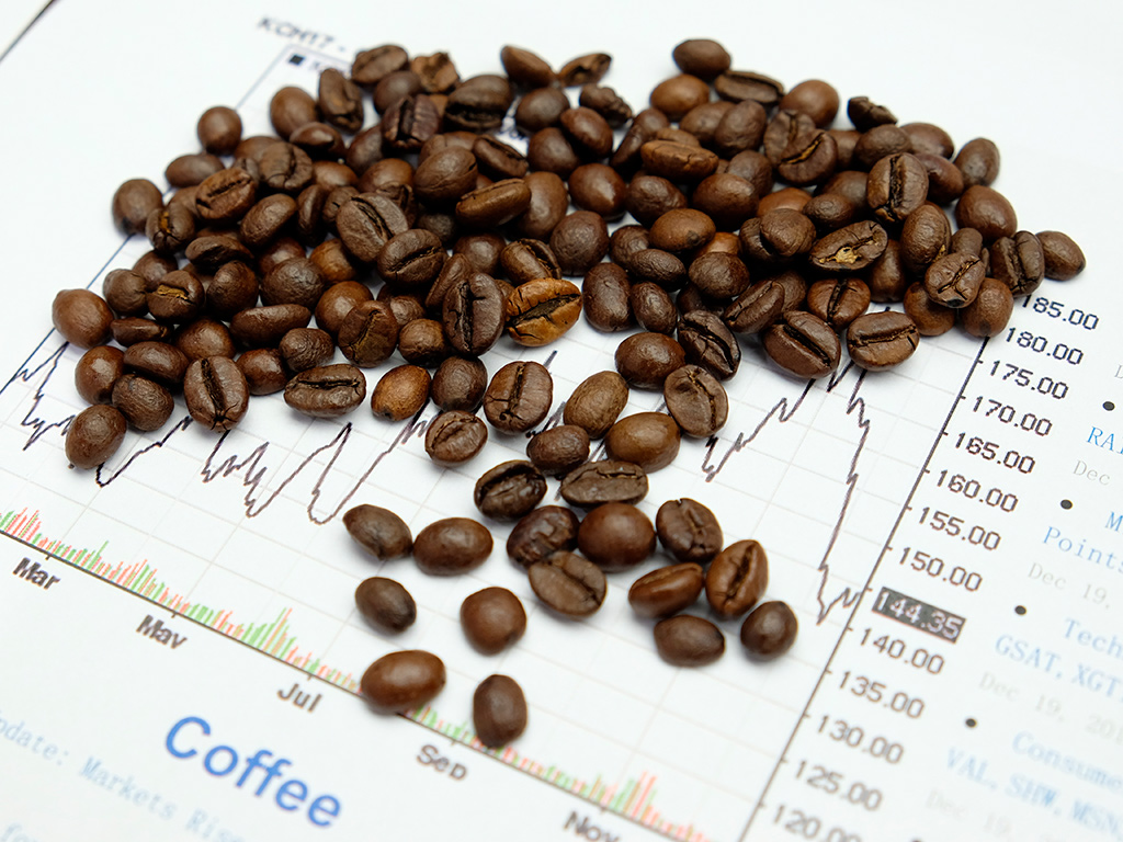 Cotação de Café – 11/10/2024