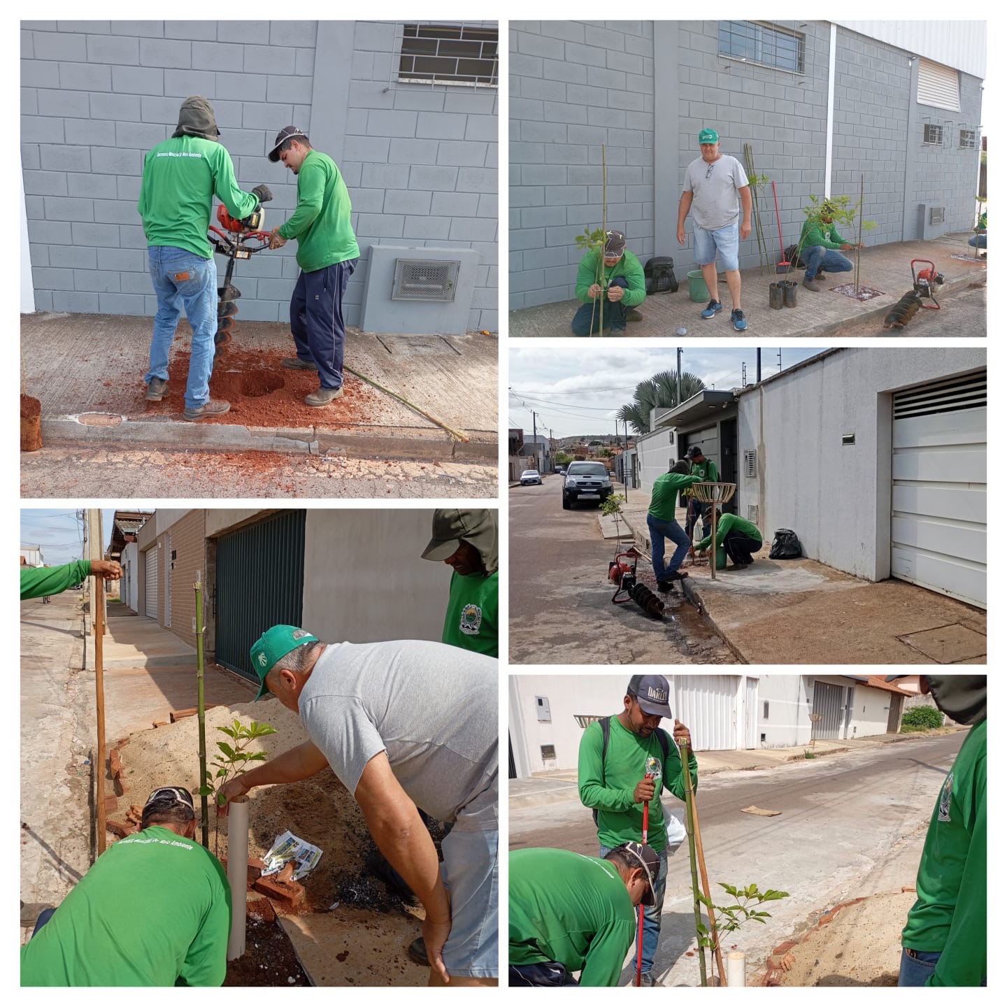 Plantio de árvores no bairro Eldorado mobiliza moradores e Secretaria de Meio Ambiente