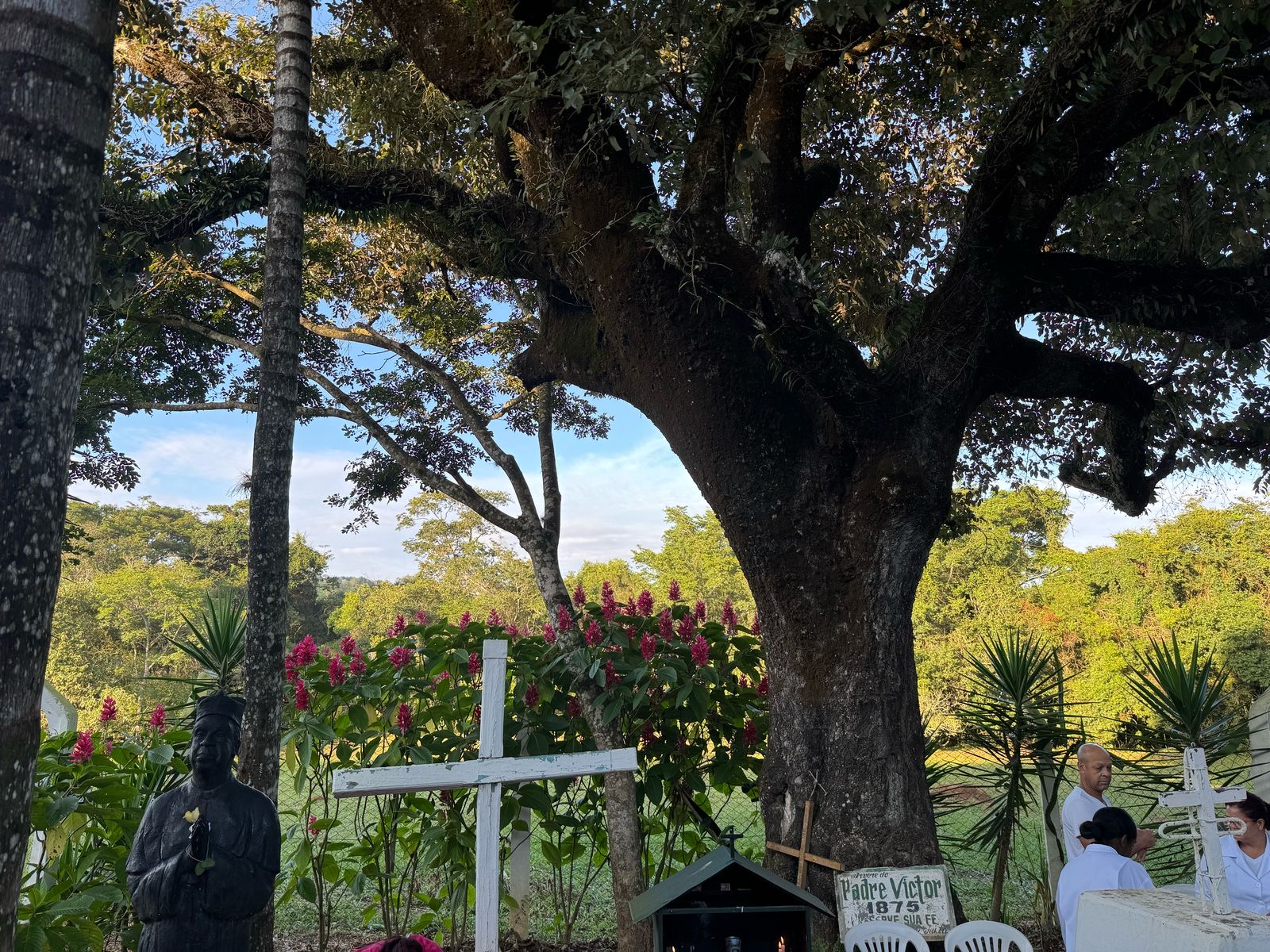 Romeiros caminham com fé até a árvore do Padre Victor em Coqueiral