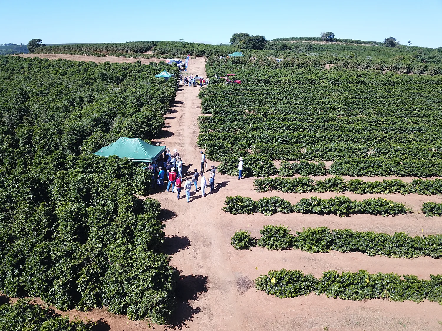EPAMIG realiza Dia de Campo Café com Leite e reúne produtores para troca de conhecimento sobre café, leite e gestão rural