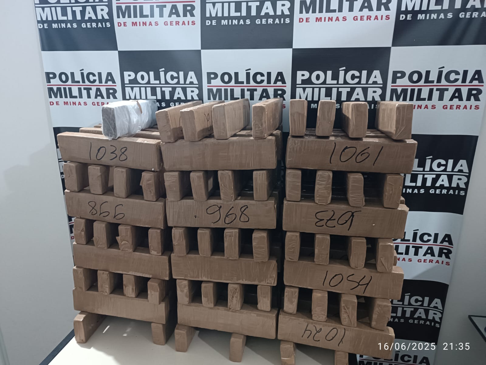 Motorista é preso com 99 tabletes de maconha em Campos Gerais