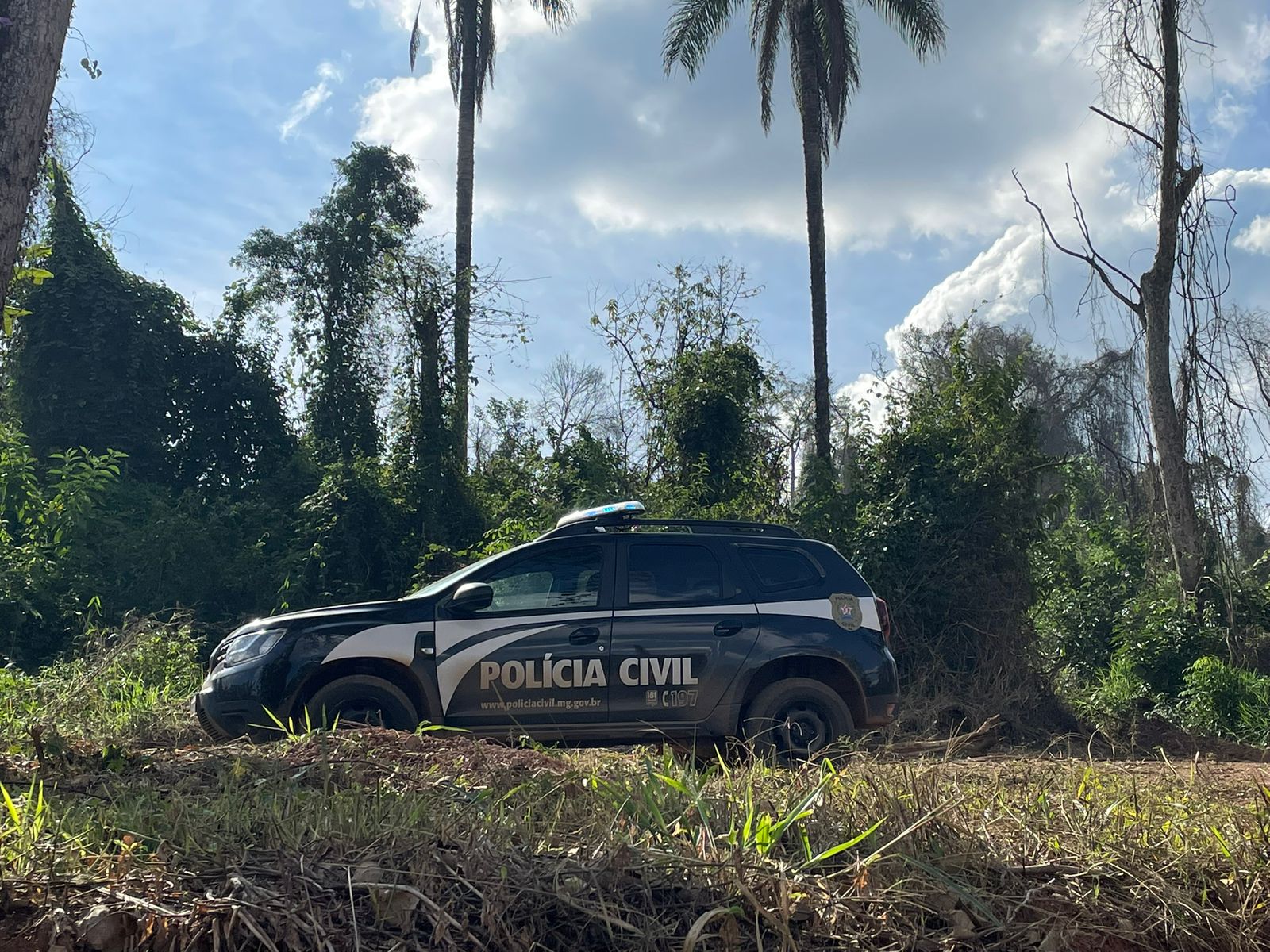 Polícia Civil investiga furto de café e equipamentos na zona rural de Três Pontas