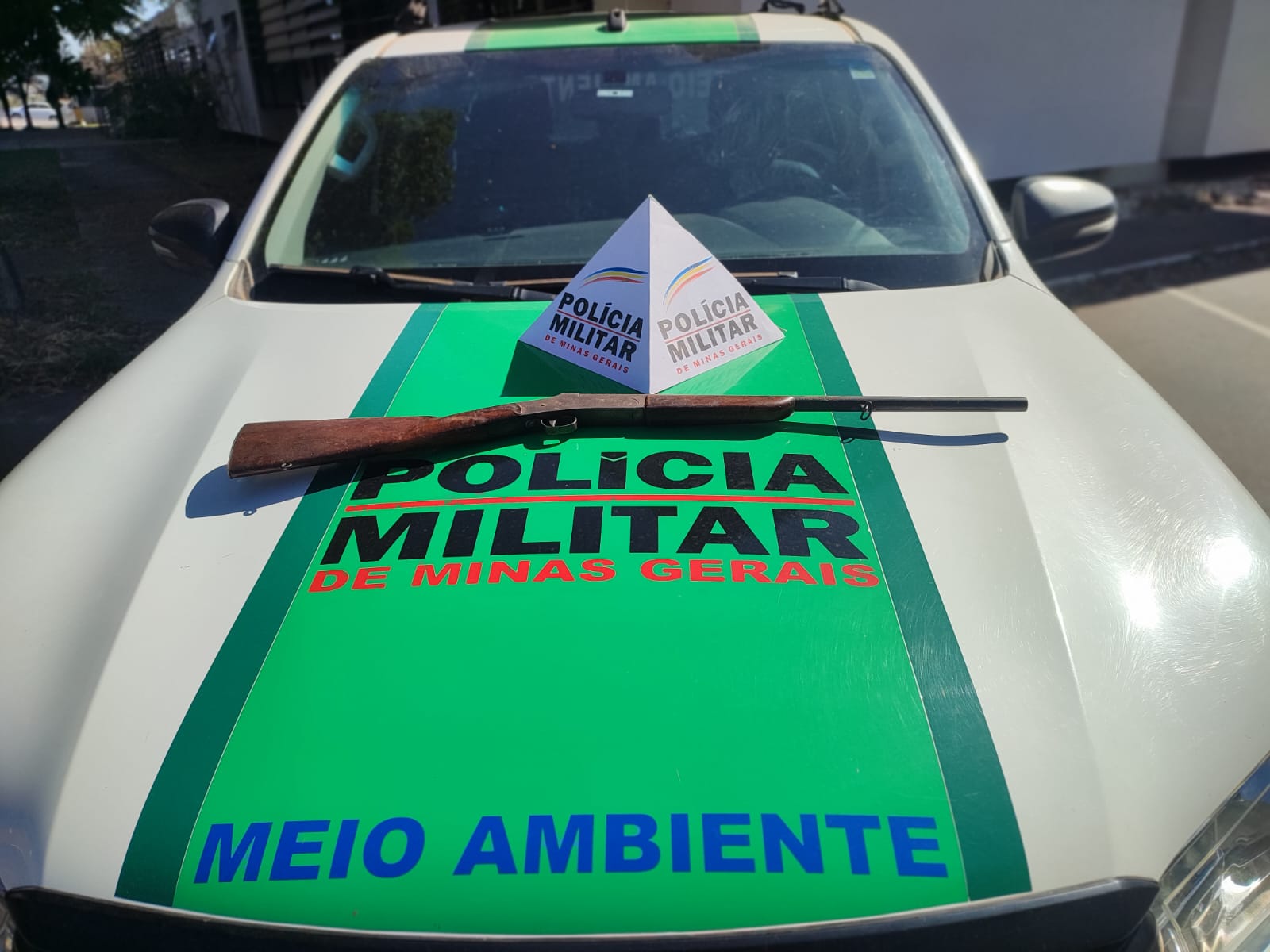 Idoso é preso por posse ilegal de arma de fogo em Elói Mendes