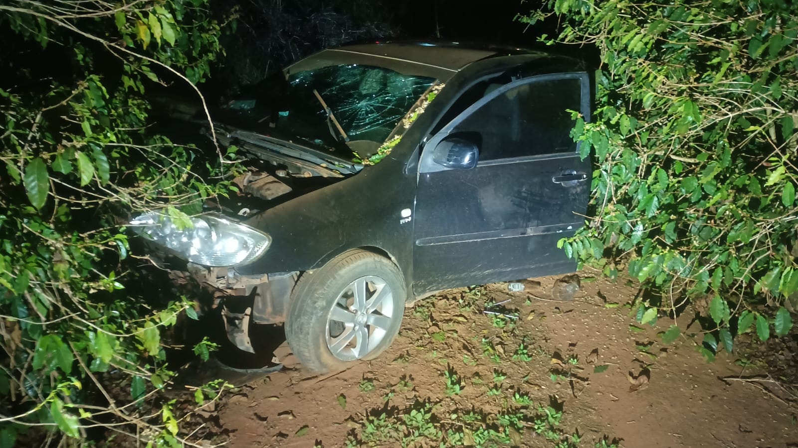 Carro sai da pista e cai em lavoura de café no trevo de Três Pontas