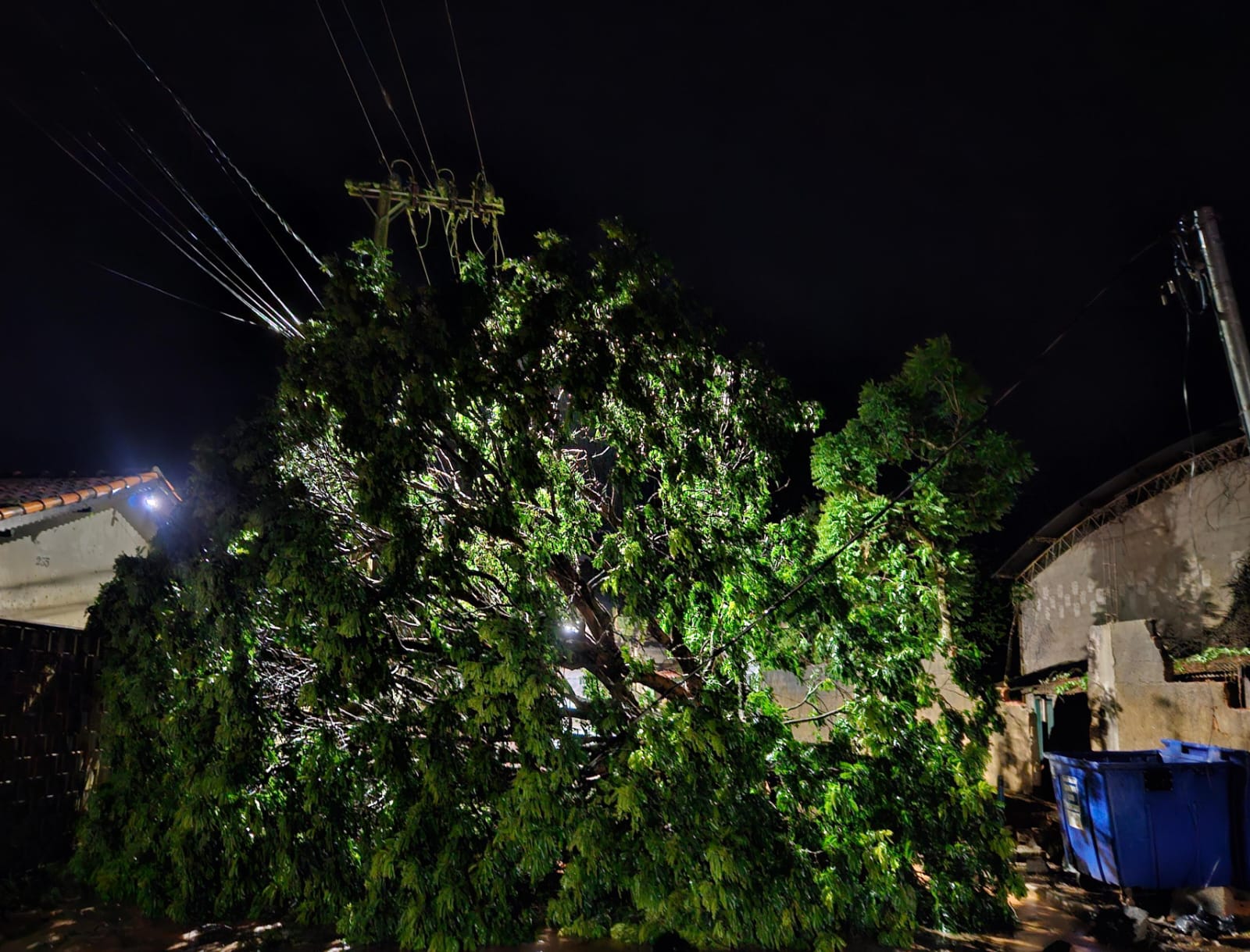 Temporal com ventos fortes causa estragos em Santana da Vargem
