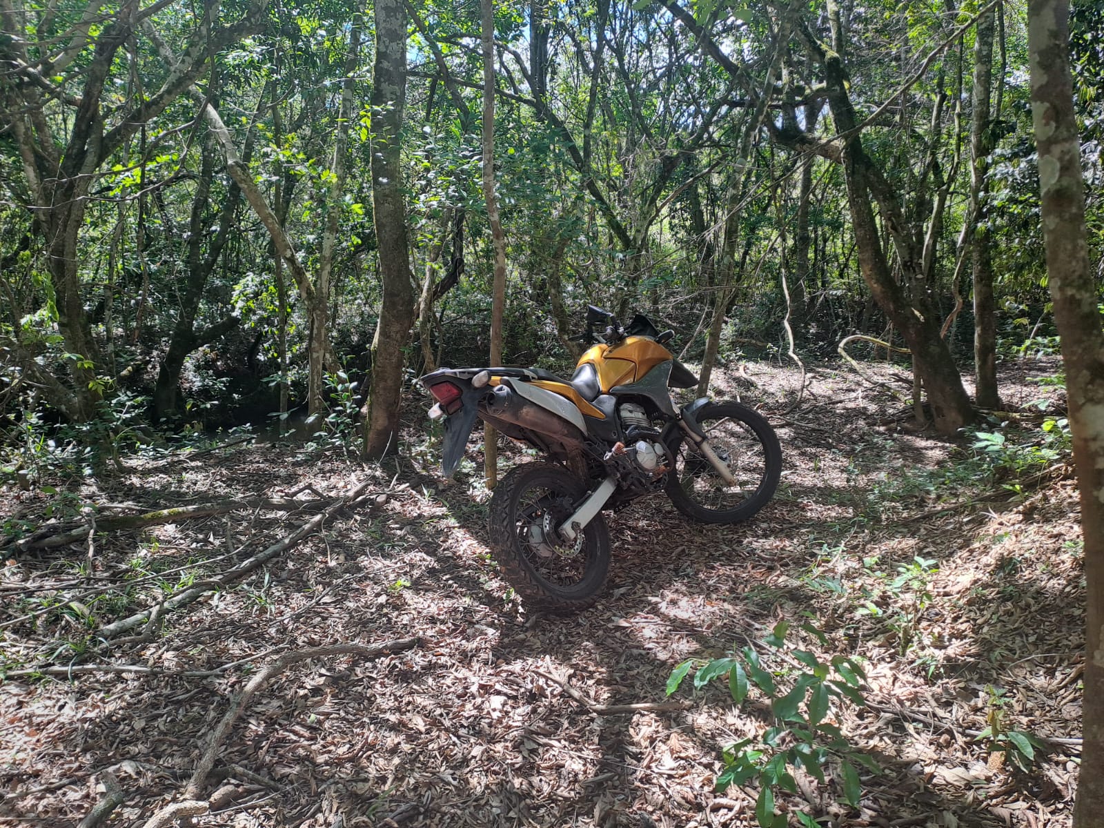 Rapaz é preso, depois de furtar moto para “passar o fim de ano motorizado”, em Campo Belo