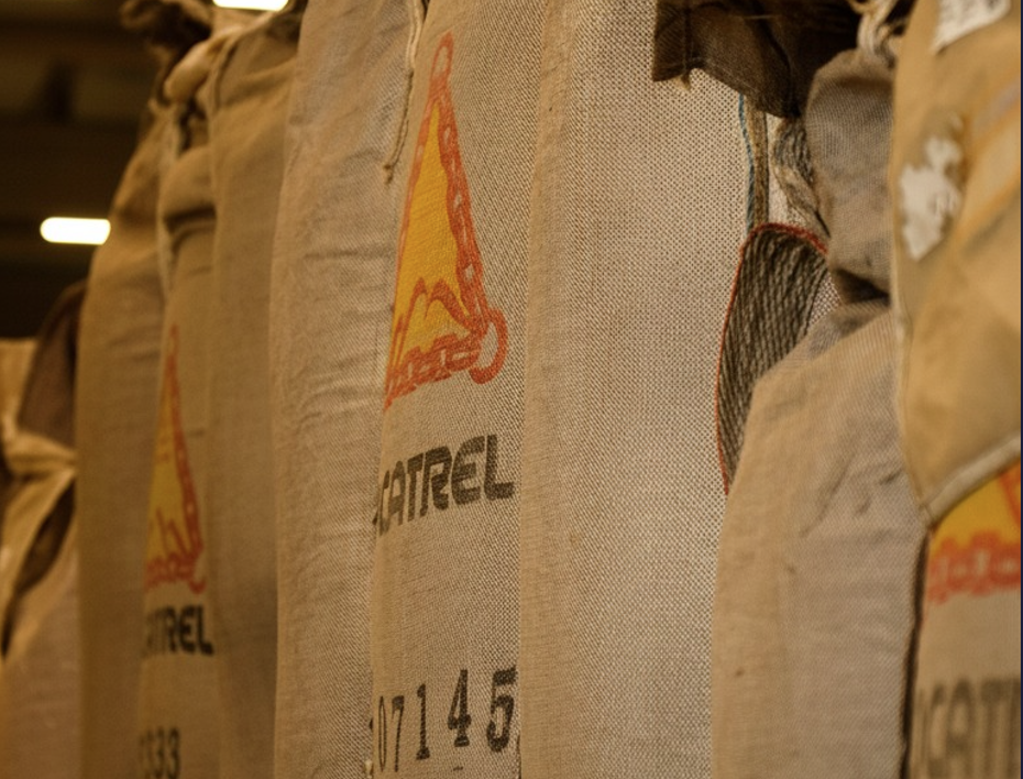 Cocatrel recebe mais de 1.8 milhões de sacas de café no ano 2025