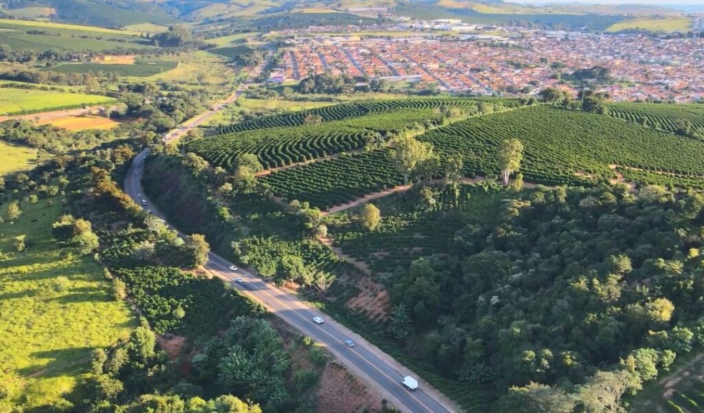 Operação Fim de Ano registra mais de 900 atendimentos e 567 mil veículos