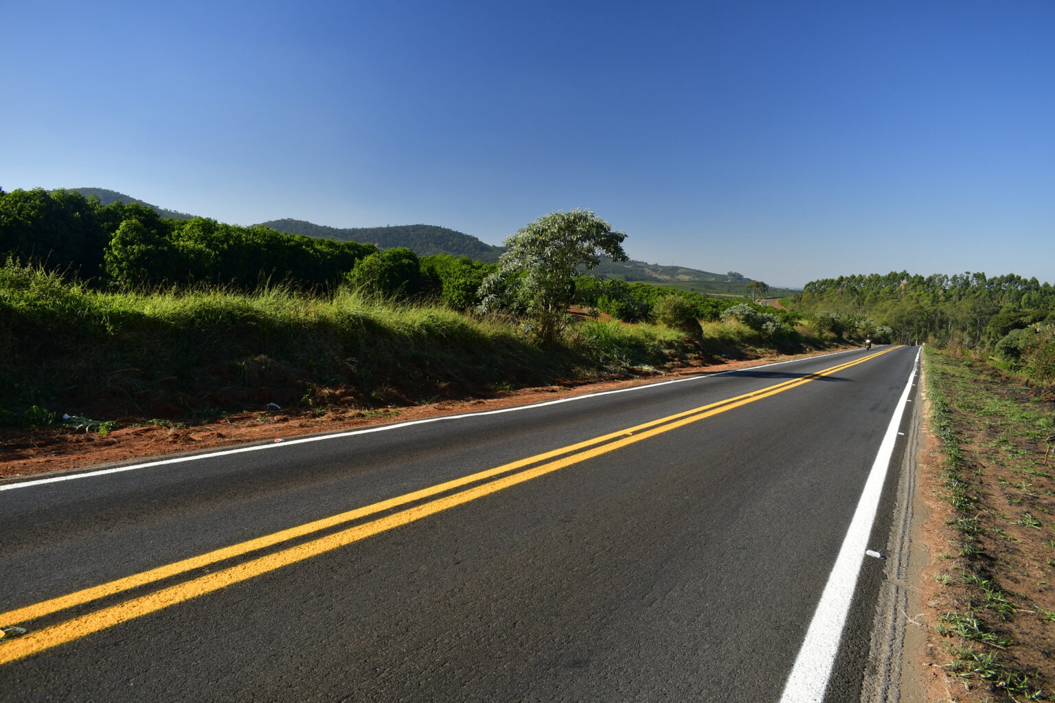 De cães a corujas, EPR salva mais de 170 animais em rodovias de Minas