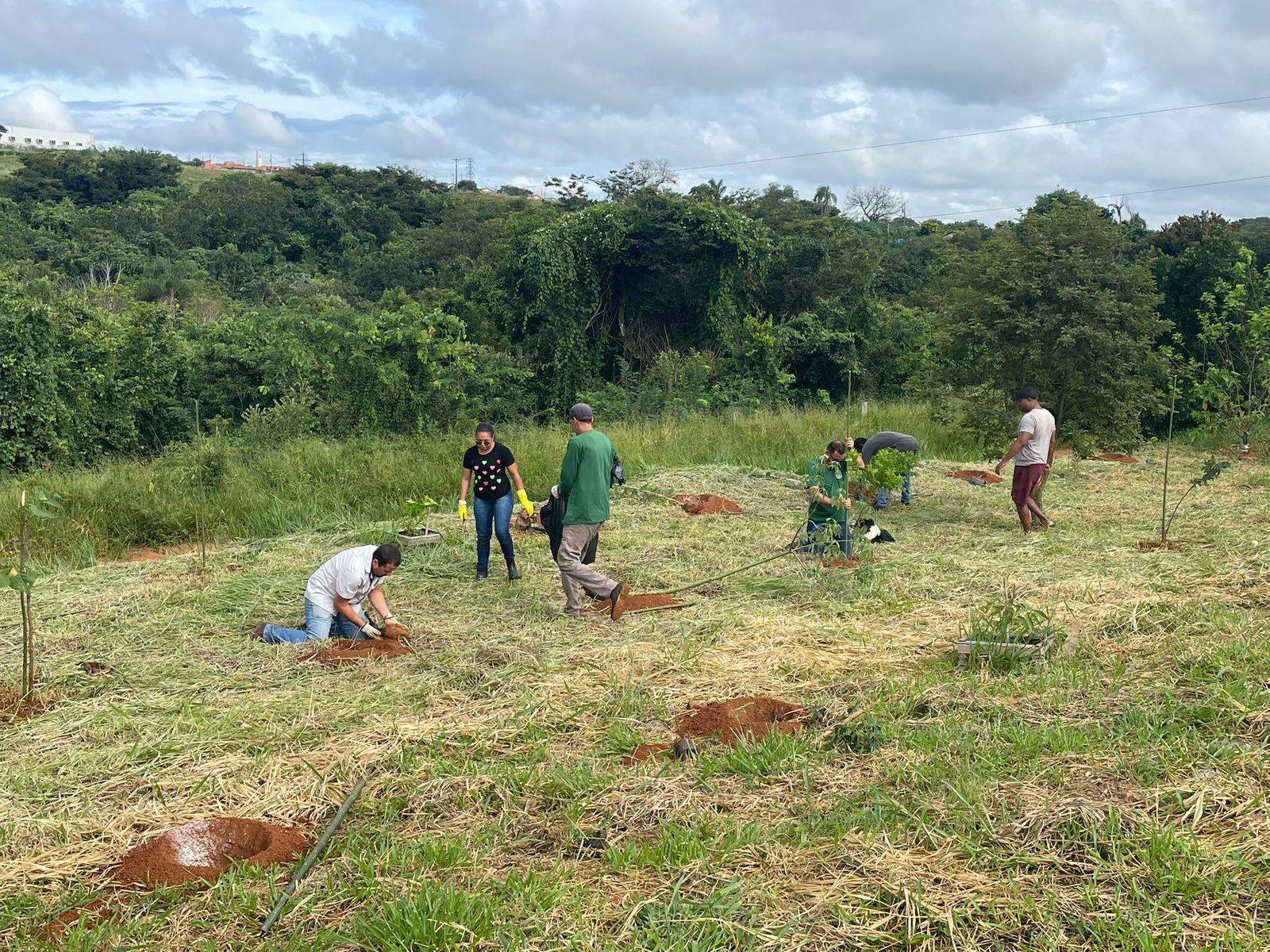 Moradores do Vista Alegre se unem à Prefeitura em ação de plantio de árvores no bairro