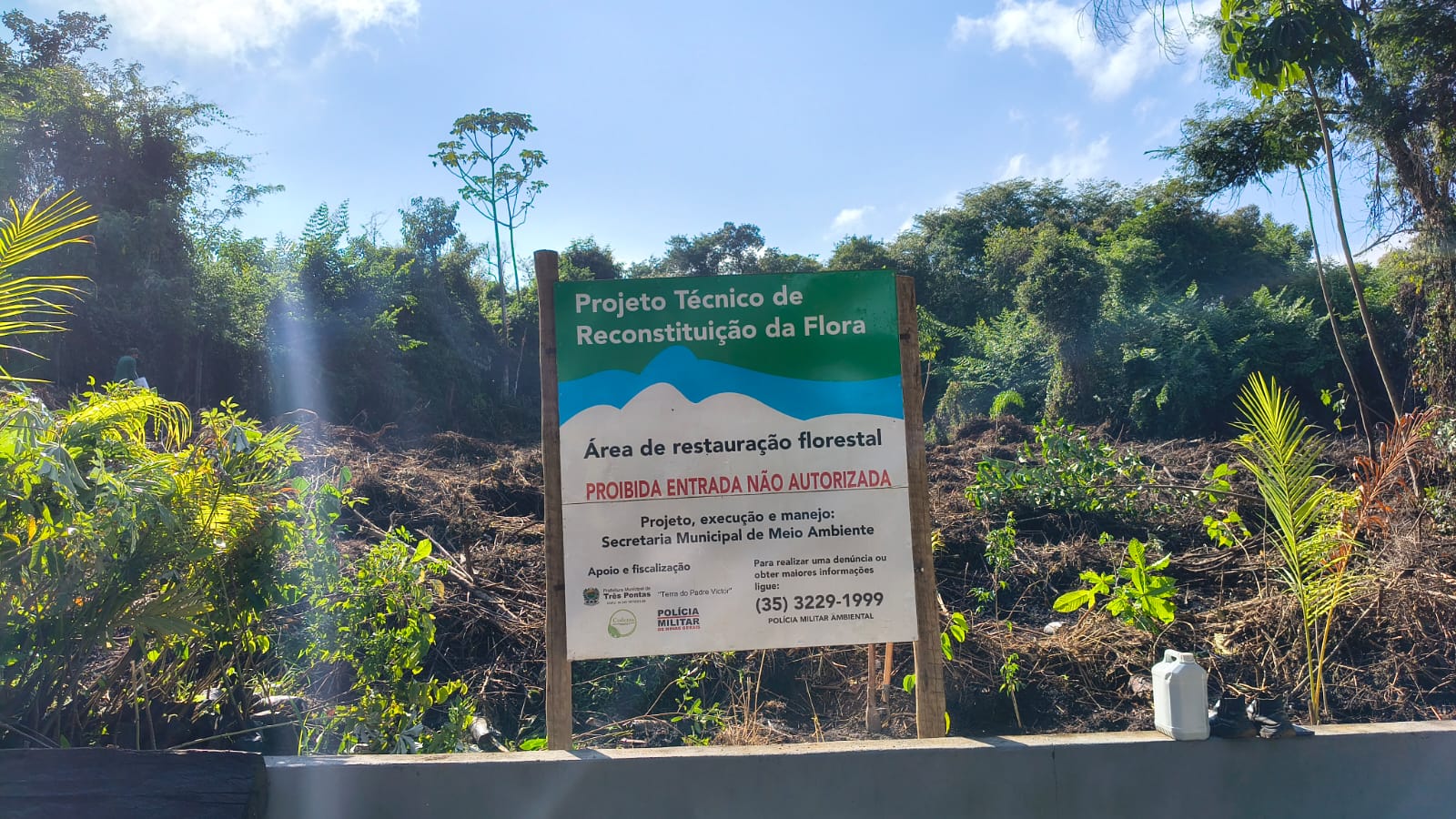 Secretaria de Meio Ambiente bate recorde com plantio de 1.500 mudas em um dia