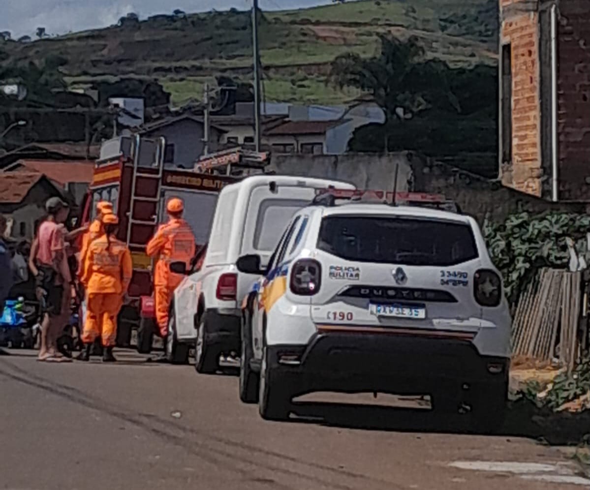 Cães feridos são resgatados pelo Corpo de Bombeiros no bairro Vila Marilena