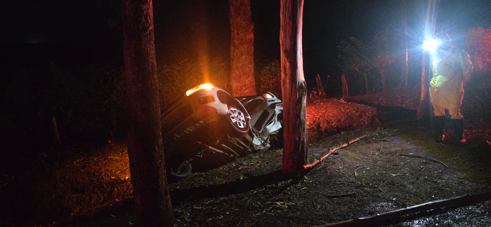 Motorista morre após carro rodar na pista e bater em árvore na rodovia de Campos Gerais