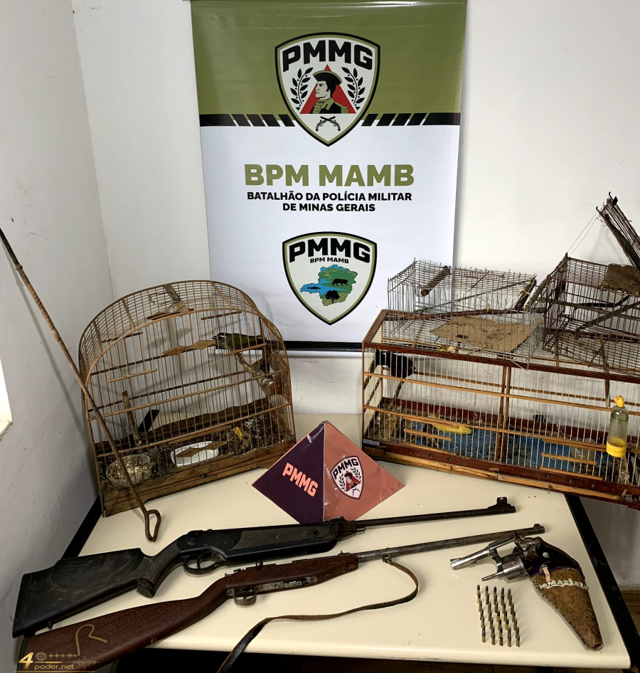 Rapaz é preso suspeito de crime ambiental em Campos Gerais