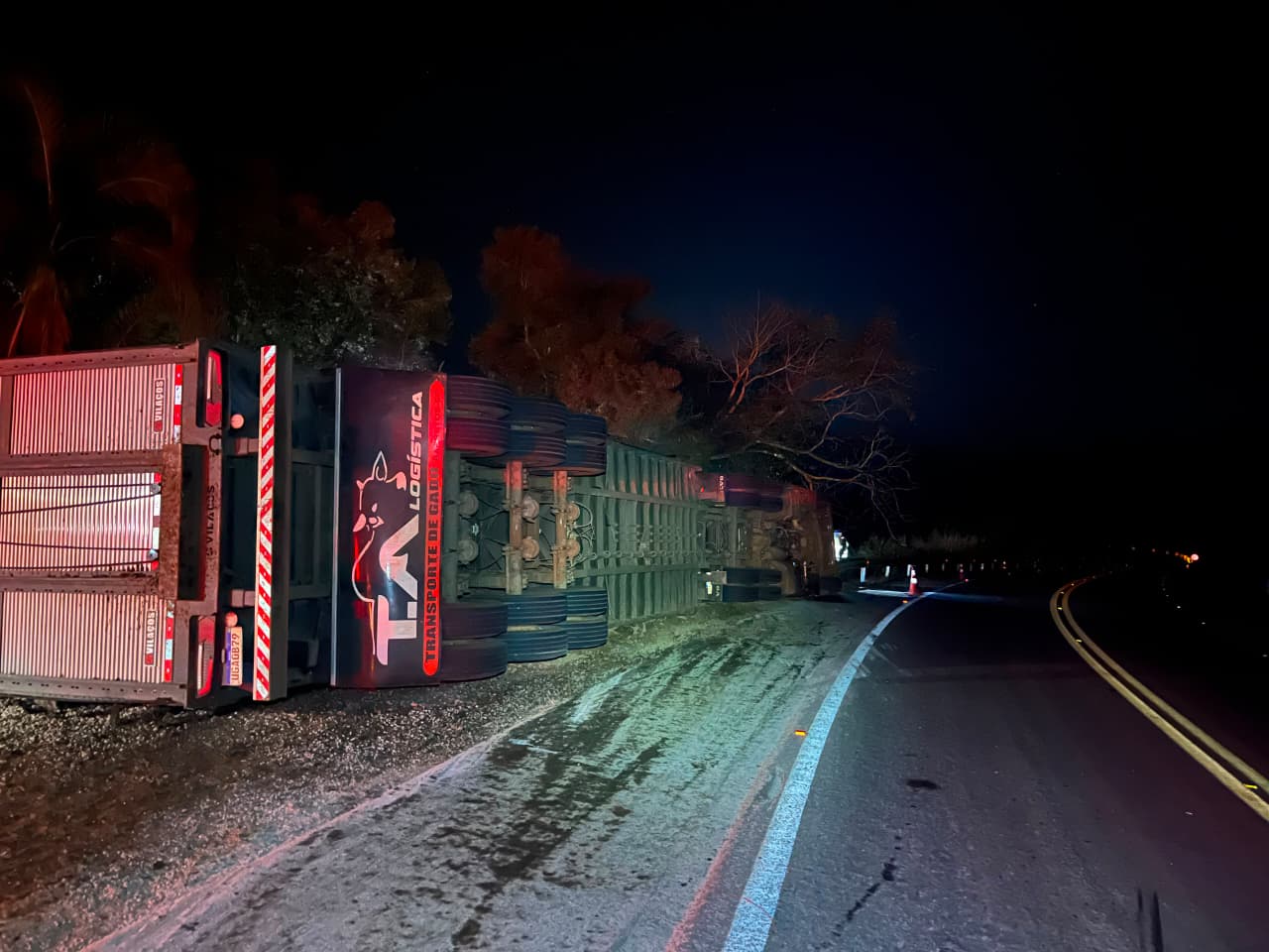 Motorista morre após caminhão com bois tombar entre Elói Mendes e Paraguaçu